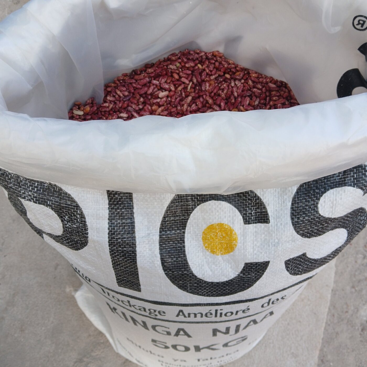 Mbereshi beans stored in a PICS bag to help preserve quality and reduce post-harvest losses
